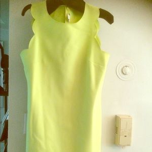 JCrew Scalloped Dress